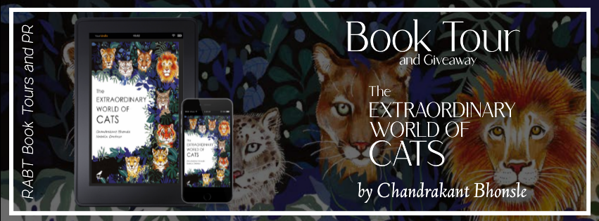 The Extraordinary World of Cats banner