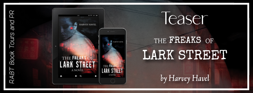 The Freaks of Lark Street banner