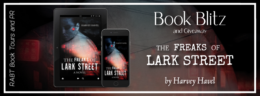 The Freaks of Lark Street banner