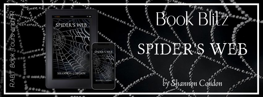 Spider's Web banner