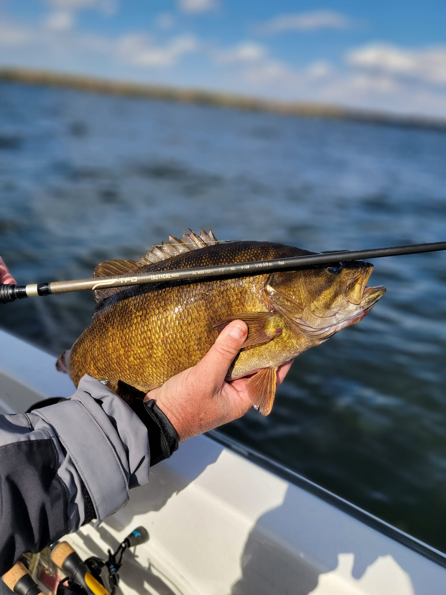 Oneida Lake Fall Bite Begins