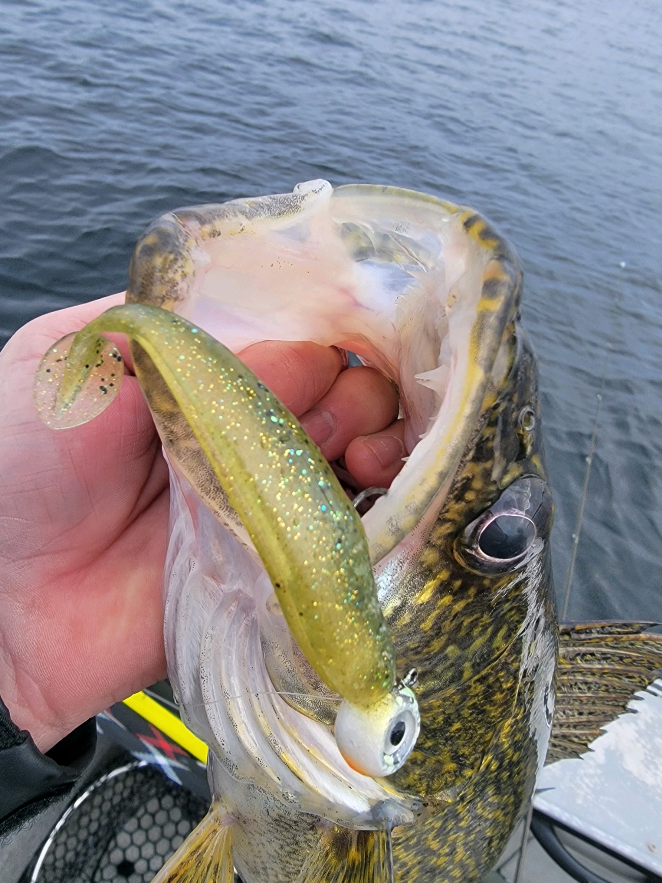 St. Lawrence River Walleye