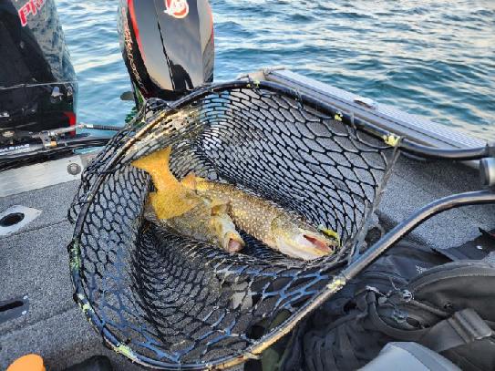 St Lawrence River SMB (Catch & Release) Ontario Canada, Zone 20