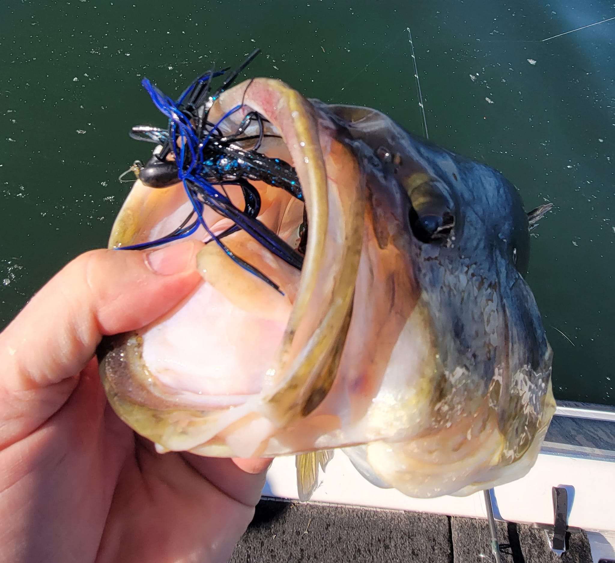 LMB on the Keitech Model I Casting Jig