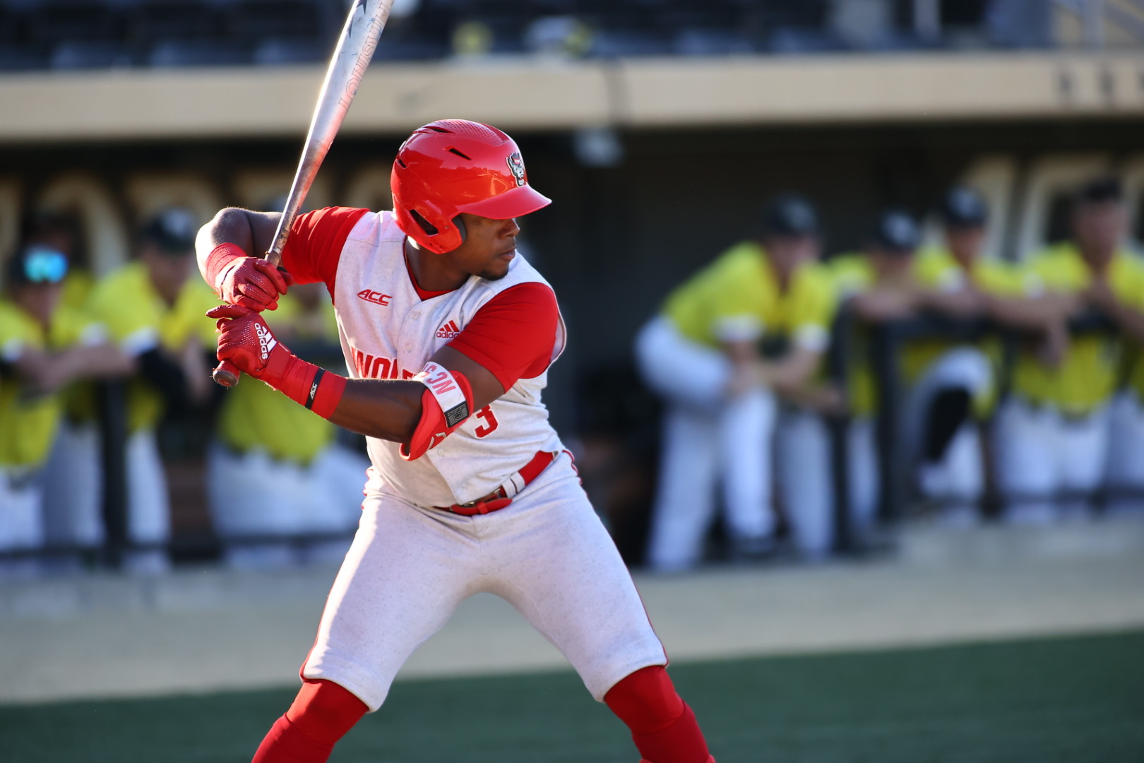 NC State knocks out No. 1 Arkansas on Torres' homer in 9th