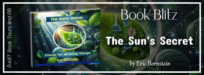 Book Blitz: The Sun's Secret by Eric Bornstein #childrensbook #rabtbooktours @RABTBookTours 