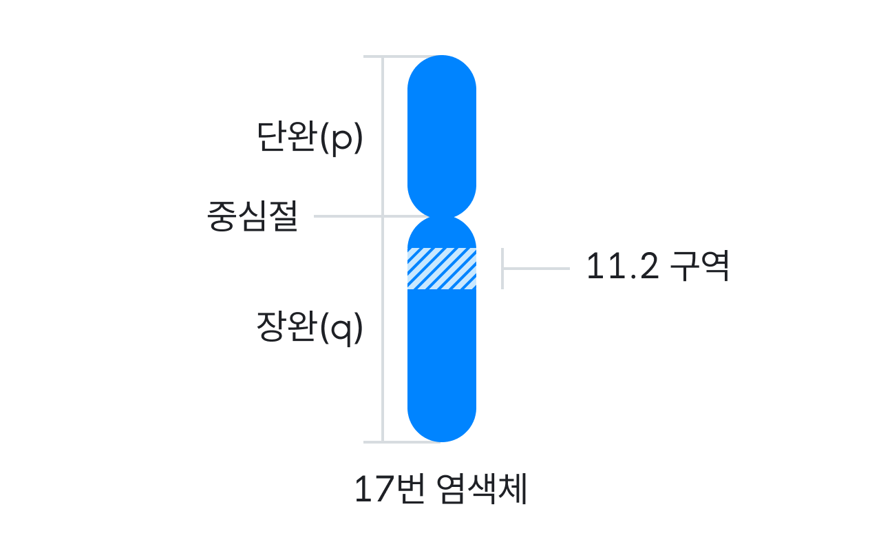 단완, 중심절, 장완