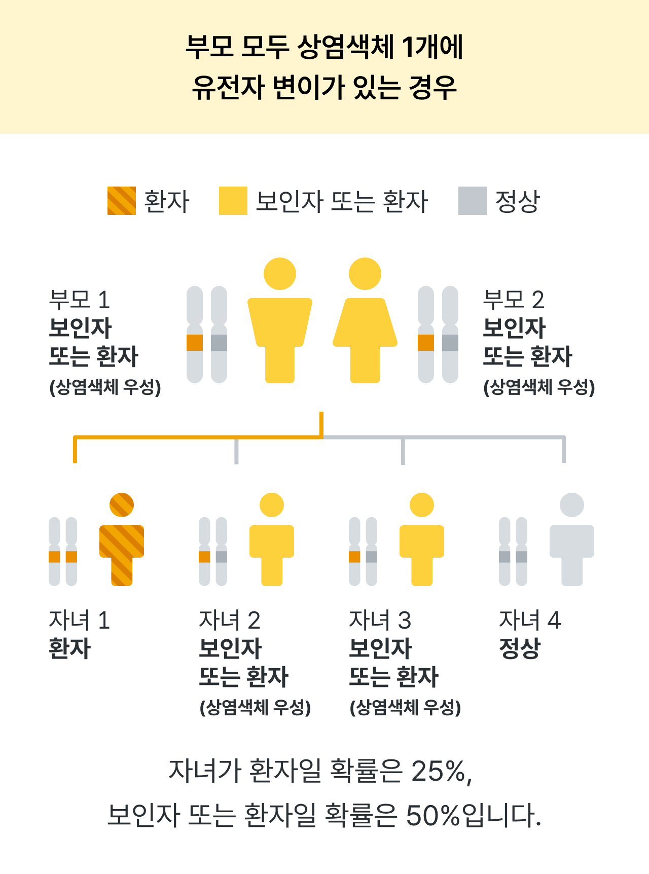 알포트 증후군, 신증후군, 신장질환, 난청을 수반하는 유전성 신염, 강희경 교수님, 서울대학교병원, 대한신장학회, 유전신질환연구회, 레어노트, 소아신장질환, 소아희귀질환, 희귀소아질환, Alport syndrome, 감각신경성난청, 