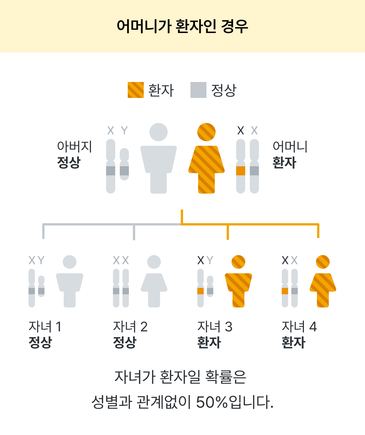 알포트 증후군, 신증후군, 신장질환, 난청을 수반하는 유전성 신염, 강희경 교수님, 서울대학교병원, 대한신장학회, 유전신질환연구회, 레어노트, 소아신장질환, 소아희귀질환, 희귀소아질환, Alport syndrome, 감각신경성난청, 