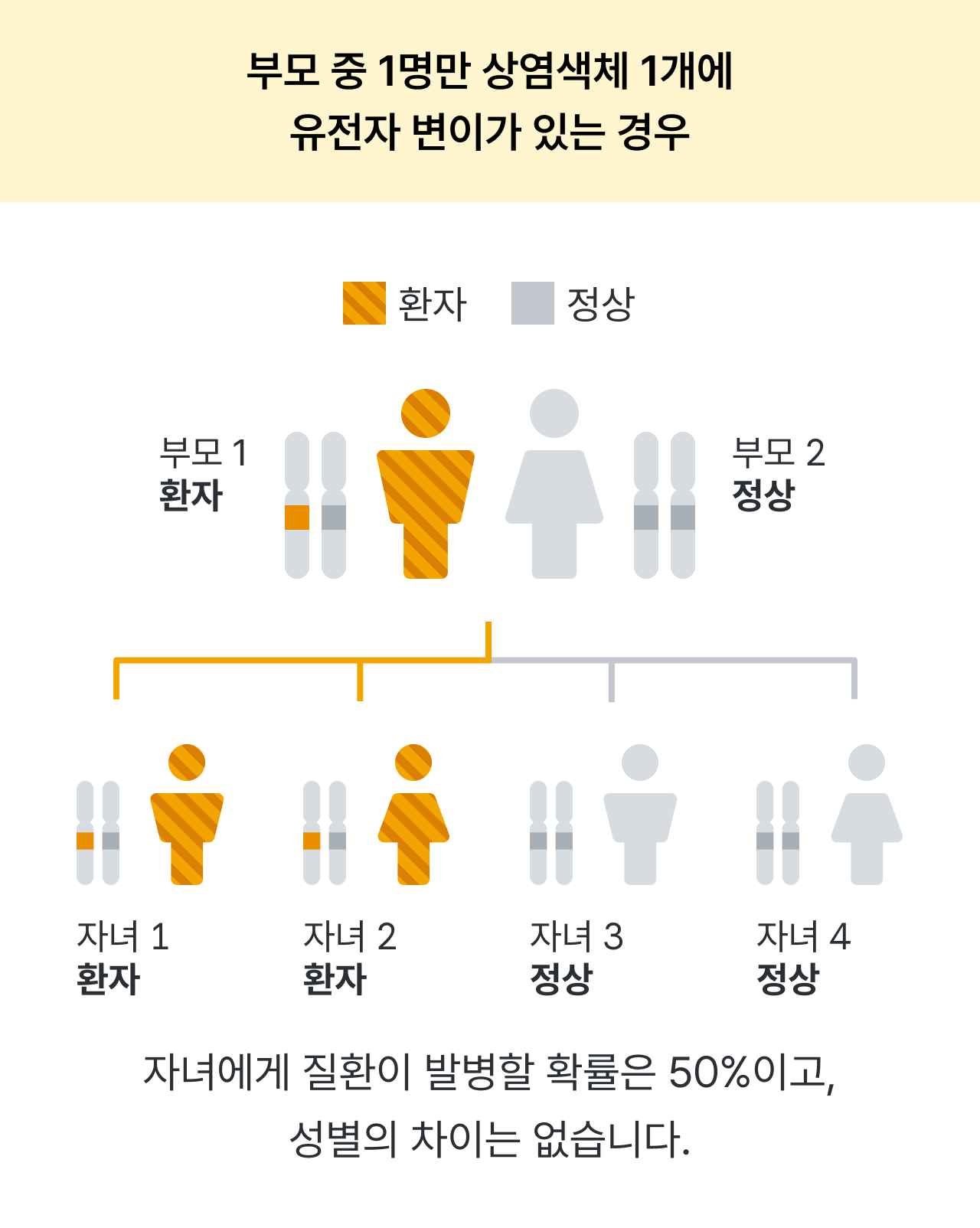 알포트 증후군, 신증후군, 신장질환, 난청을 수반하는 유전성 신염, 강희경 교수님, 서울대학교병원, 대한신장학회, 유전신질환연구회, 레어노트, 소아신장질환, 소아희귀질환, 희귀소아질환, Alport syndrome, 감각신경성난청, 