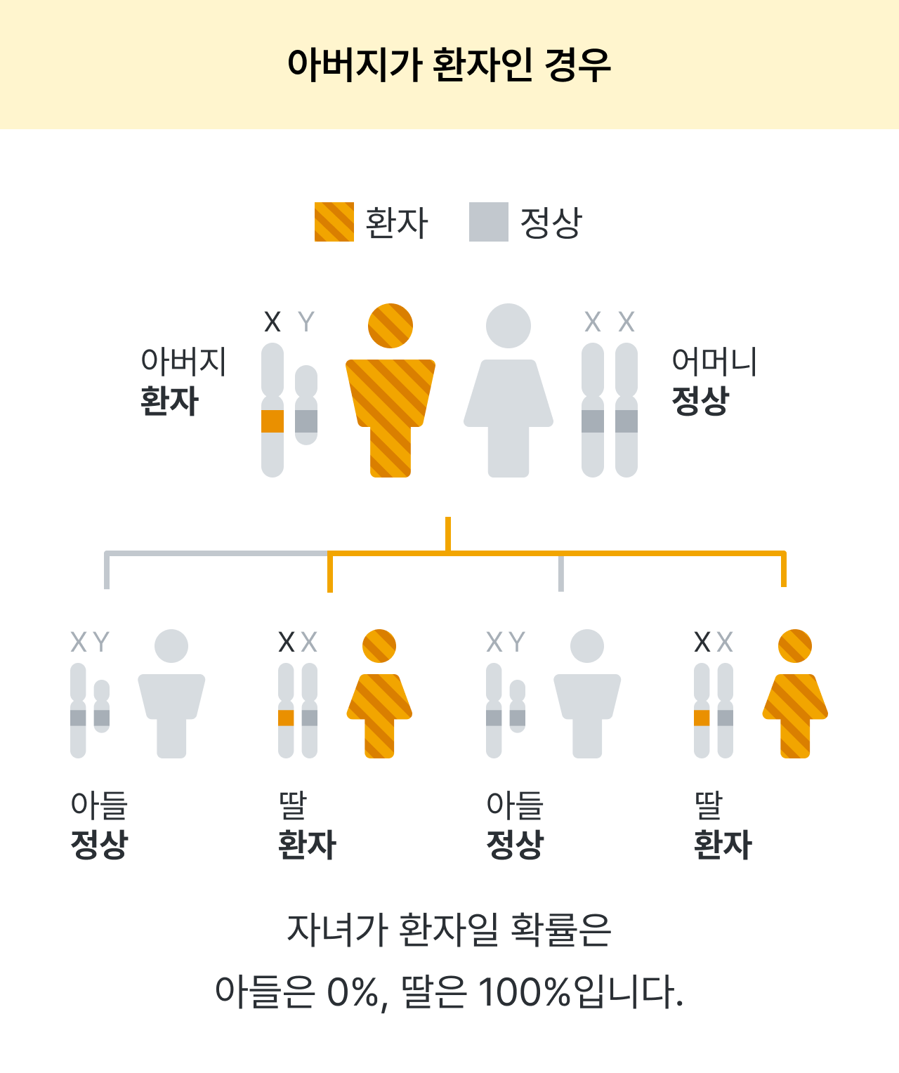 알포트 증후군, 신증후군, 신장질환, 난청을 수반하는 유전성 신염, 강희경 교수님, 서울대학교병원, 대한신장학회, 유전신질환연구회, 레어노트, 소아신장질환, 소아희귀질환, 희귀소아질환, Alport syndrome, 감각신경성난청, 