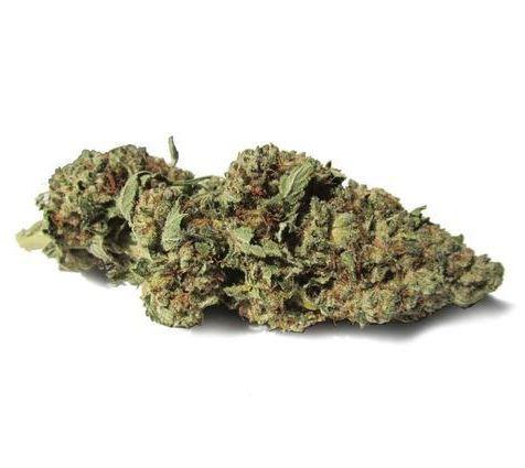 Willy Wonka Strain - Cannabis - Marijuana Seeds