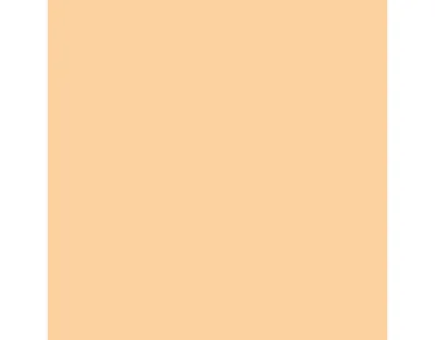 Holzpaste 7301 Buche Produktbild #2
