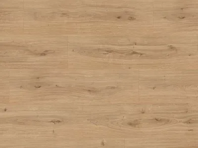 Korkboden PRO COMFORT Waldeck Eiche natur EPC014 Produktbild #1