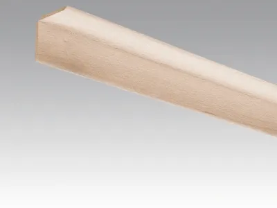 Wand- und Deckenleiste Buche pure 4094 Dekor Produktbild #1