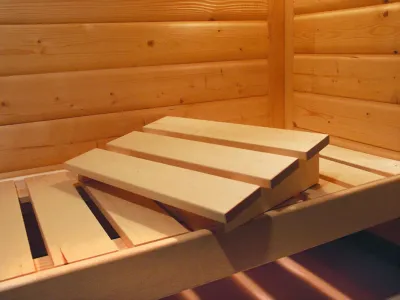 Elementsauna 68 mm Celine 1 SPARSET inkl. 9 kW Bio-Kombiofen und ext. Steuerung Produktbild #3