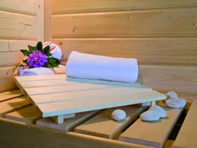 Systemsauna Siirin graphit Ganzglastür Produktbild #2