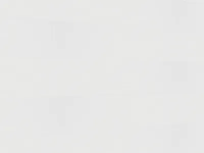 Dekorpaneele Terra DP250 White mesh Produktbild #2