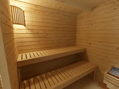 Gartensauna Artuu 40 mm mit Holztür naturbelassen Produktbild #8