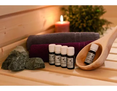 Sauna Systemsauna Sari mit Dachkranz Komplettset mit 9 kW Ofen mit externer Steuerung Produktbild #19
