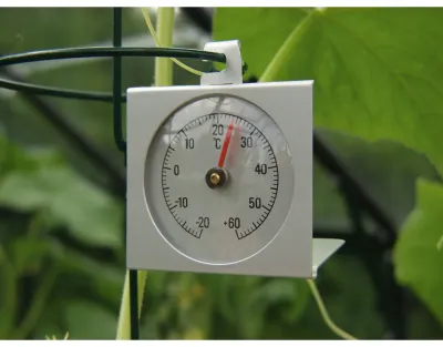 Gewächshaus Zubehör Thermometer Produktbild #1
