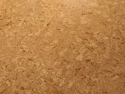 Korkboden cork Essence Originals Dawn Produktbild #1