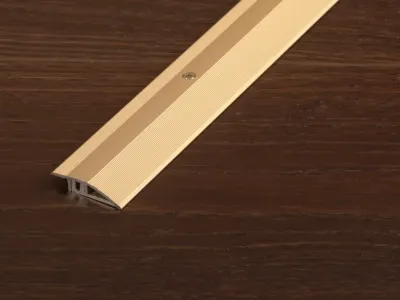 Anpassungsprofil PROCOVER Designfloor S Aluminium eloxiert Champagne Produktbild #1