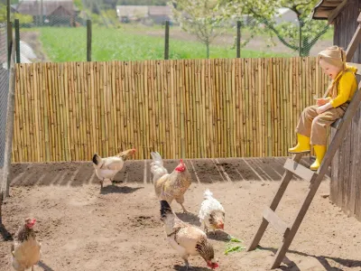 Sichtschutzzaun Sagano Bambus Produktbild #8