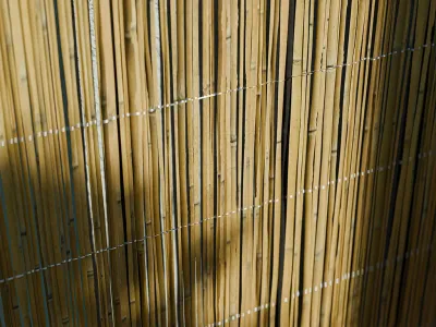 Sichtschutz Bambus Kyoto Produktbild #2