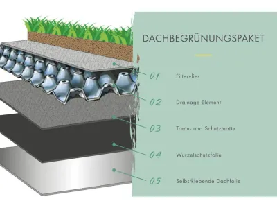 Gartenhaus Lily 38 mm naturbelassen mit Dachbegrünung Produktbild #12