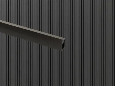 WPC Anfangsprofil co-extrudiert Produktbild #6