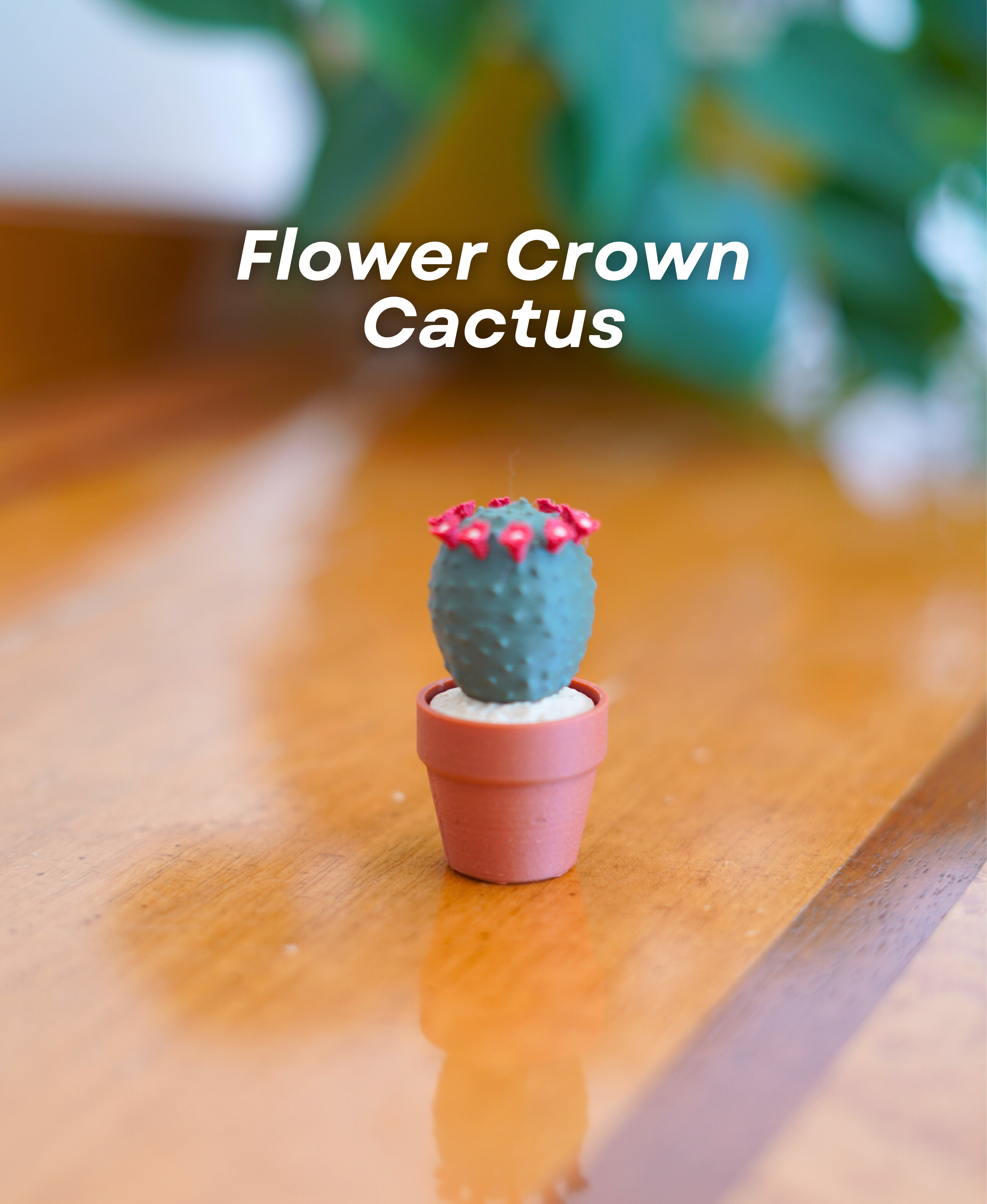 cactus faux Artificial Cactus Houseplant - Medium (25" tall) Black Planter