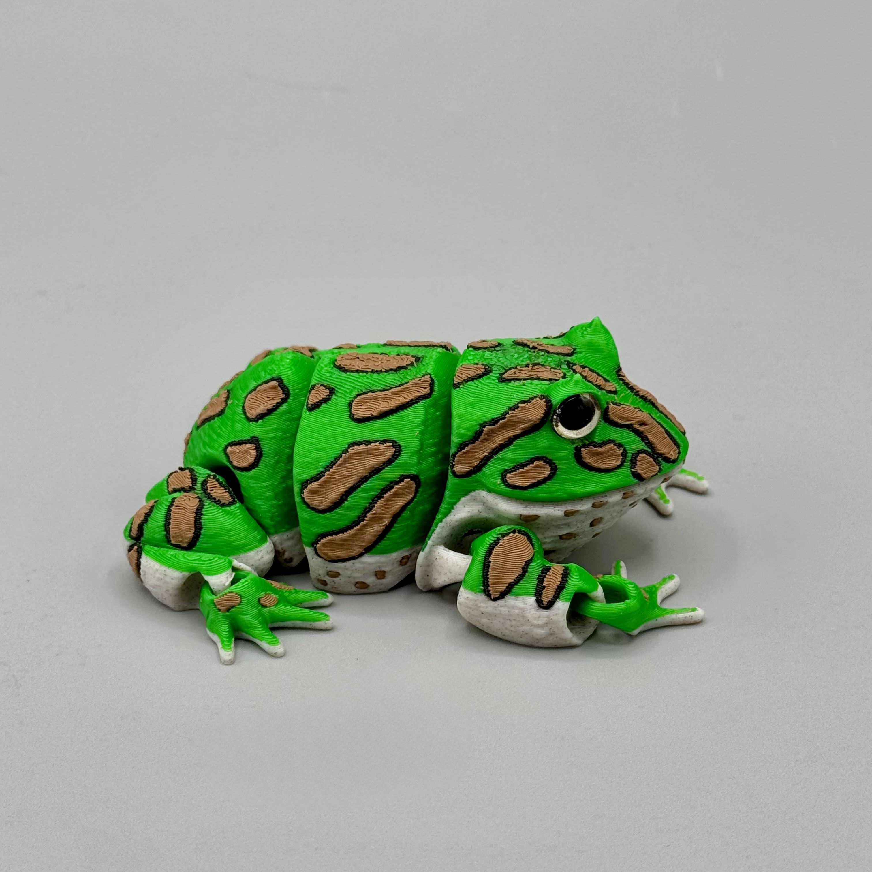 Articulated Pacman Frog | Pre-Painted + Optional 8mm Glass Eye