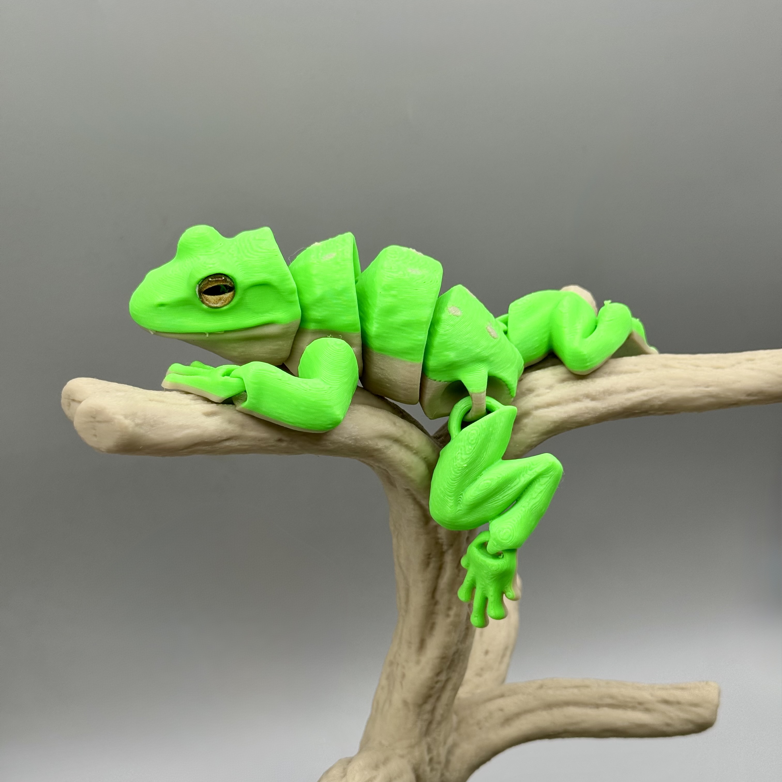 Articulated Tree Frog | Pre-Painted + Optional 8mm Glass Eye