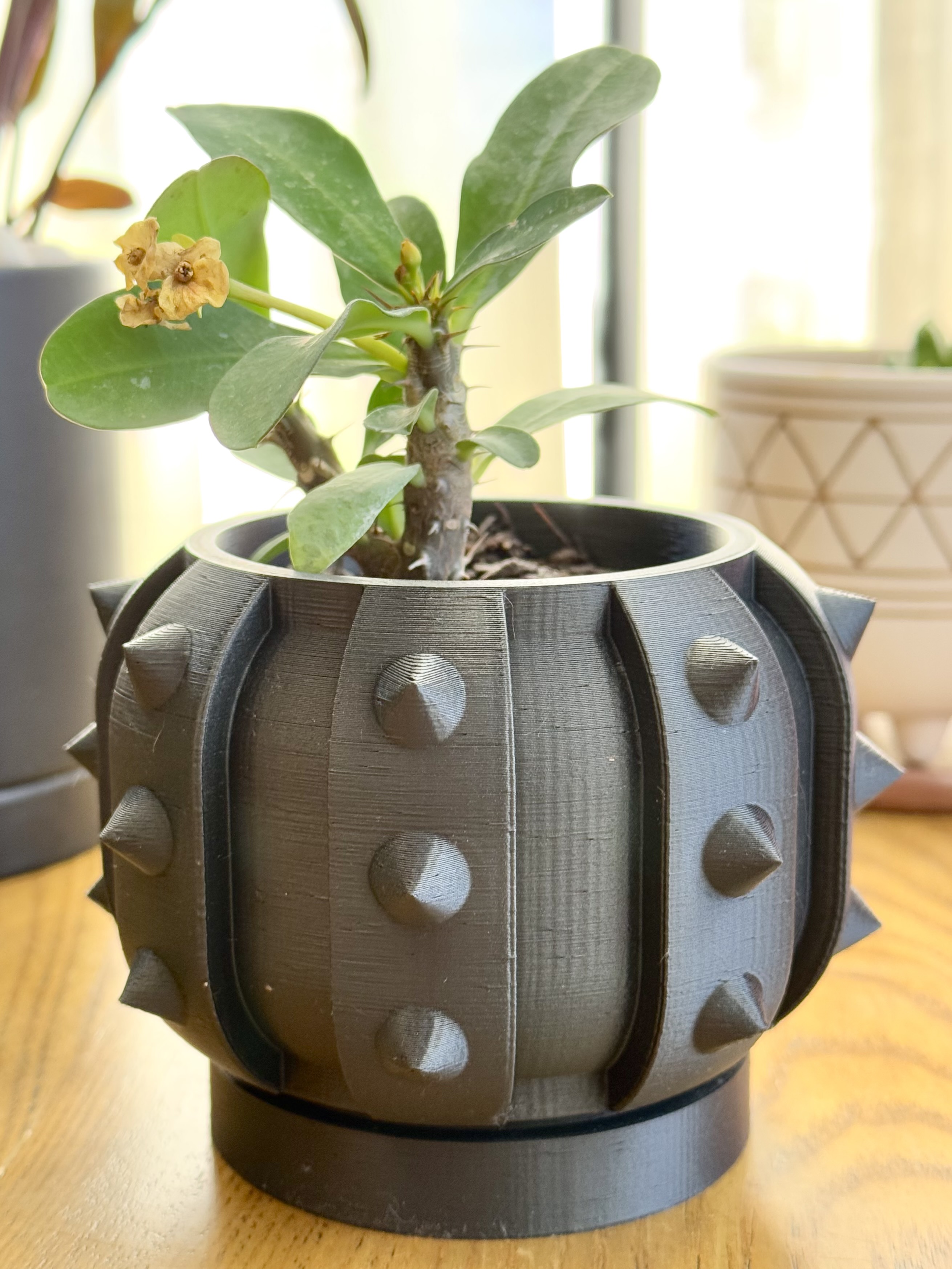 The Alver Planter Pot With Drainage Tray & Stand Included
