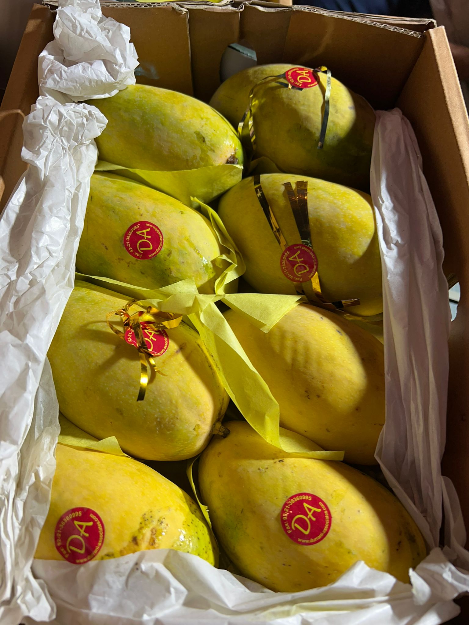 MANGO