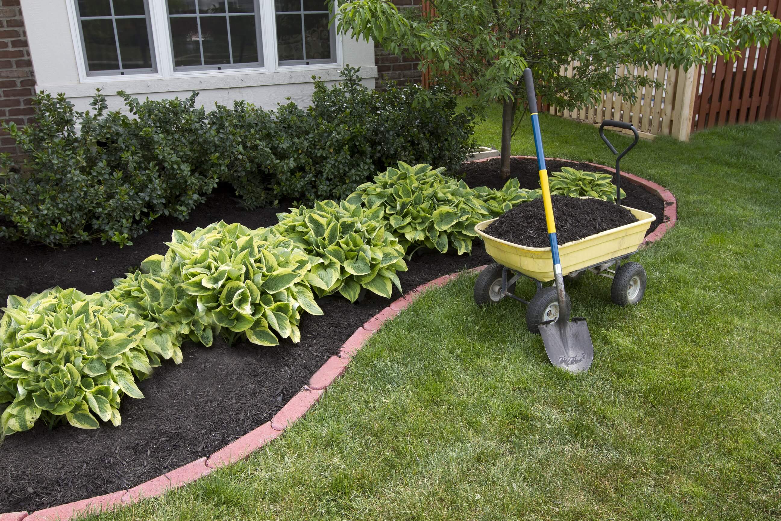 lawn-maintenance-in-waltham-ma
