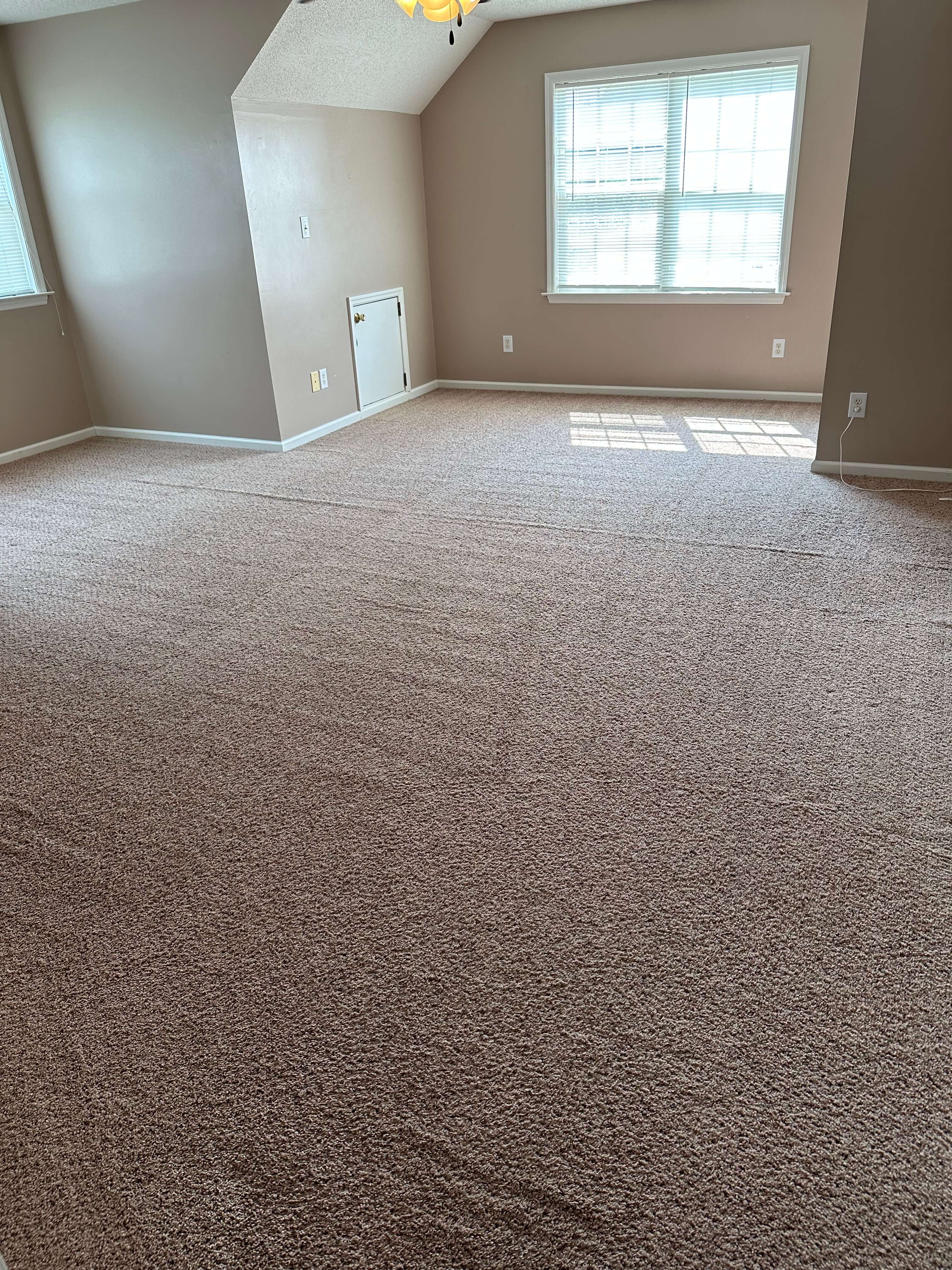 Carpet Cleaning