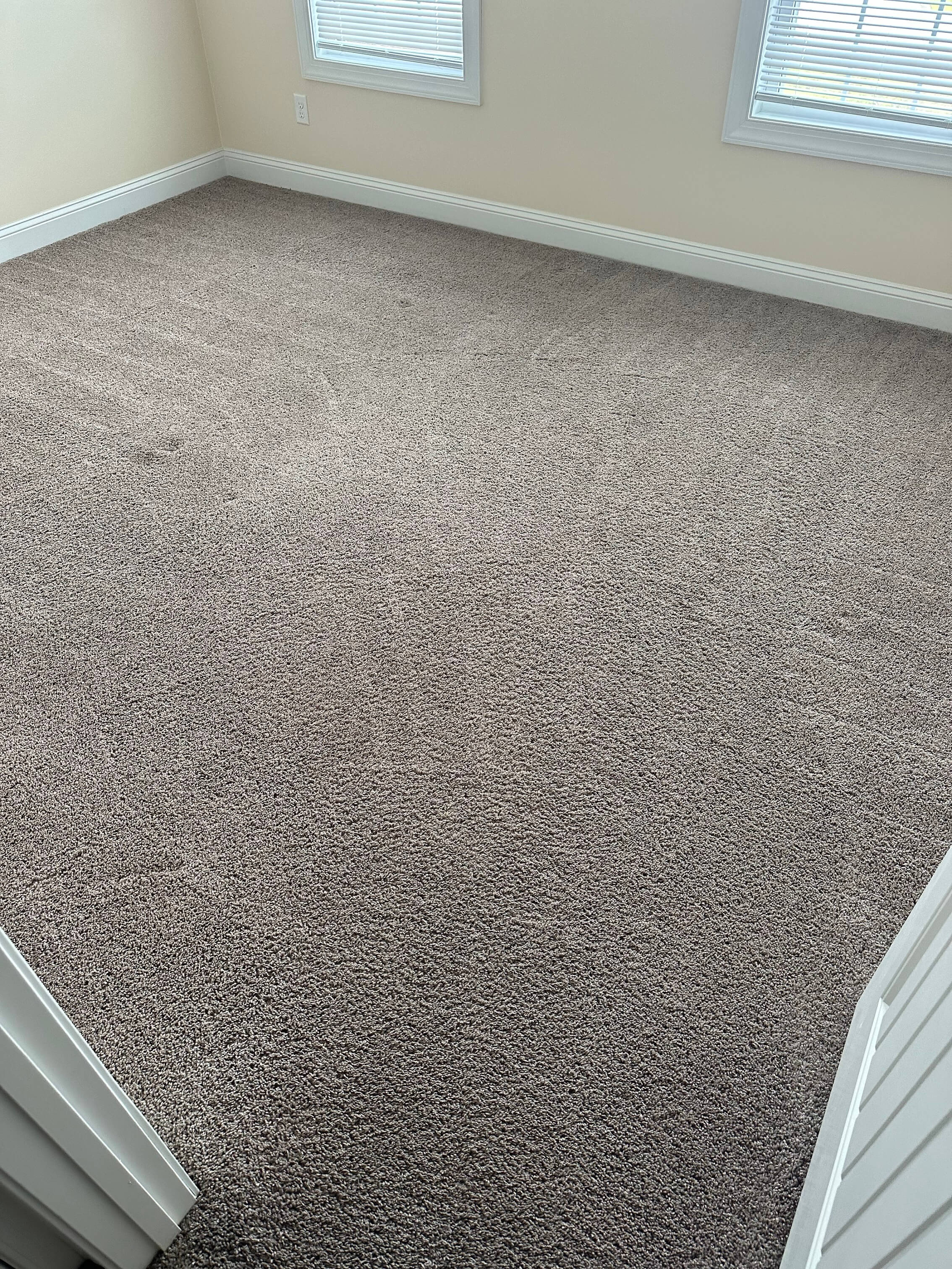 Carpet Cleaning