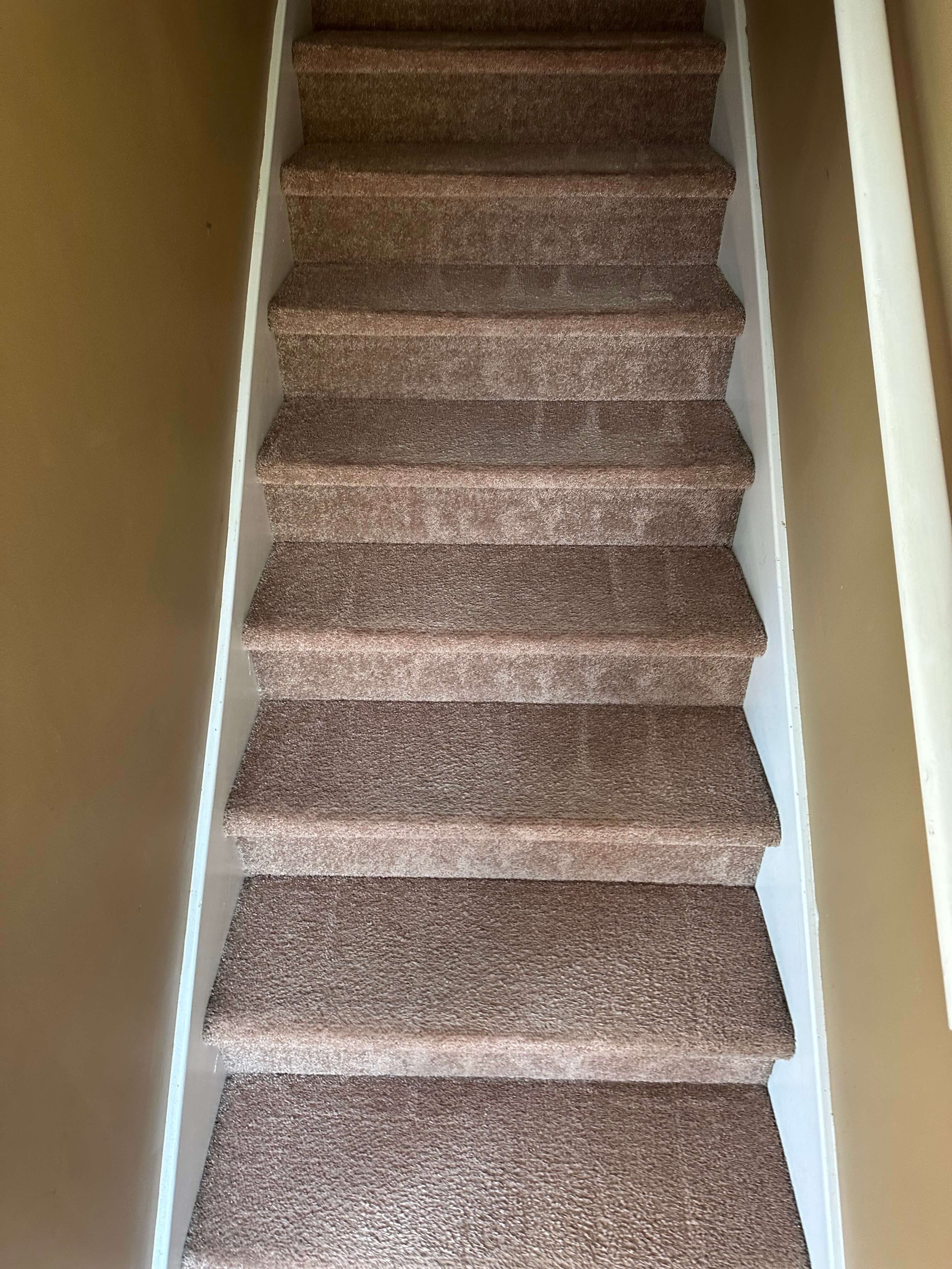 Photo Gallery Superior Carpet Cleaning Jacksonville, NC