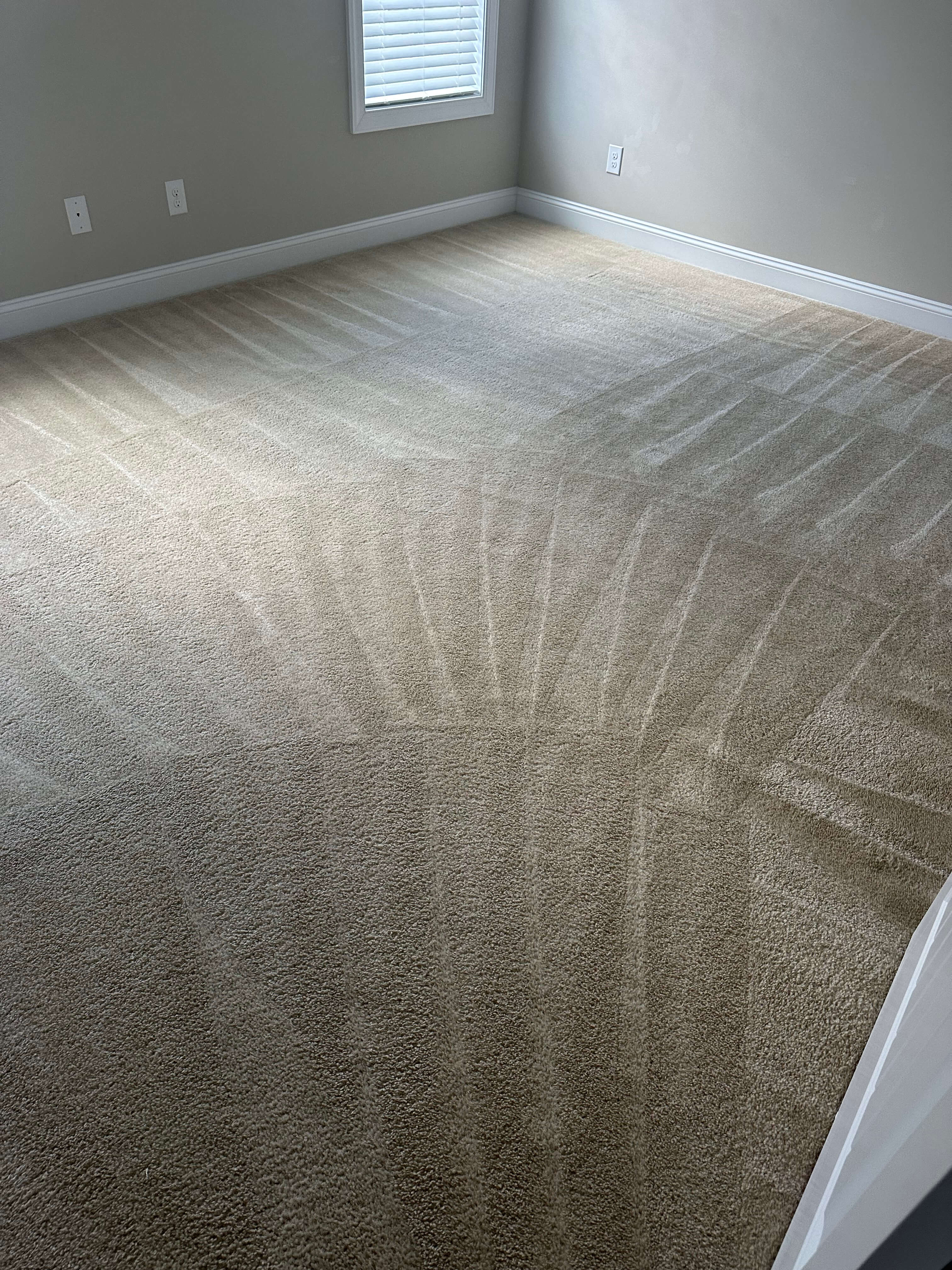 Carpet Cleaning