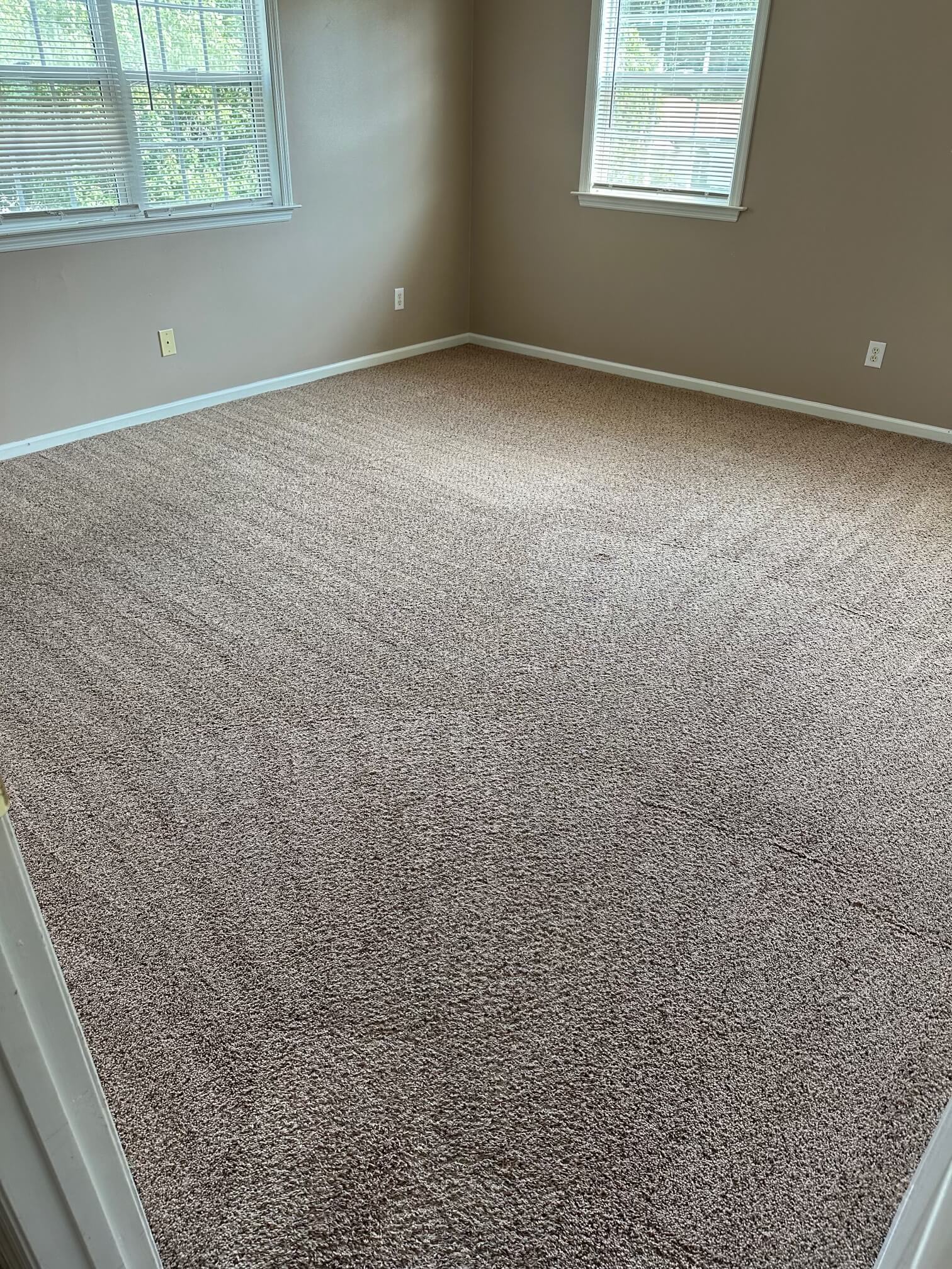 Carpet Cleaning