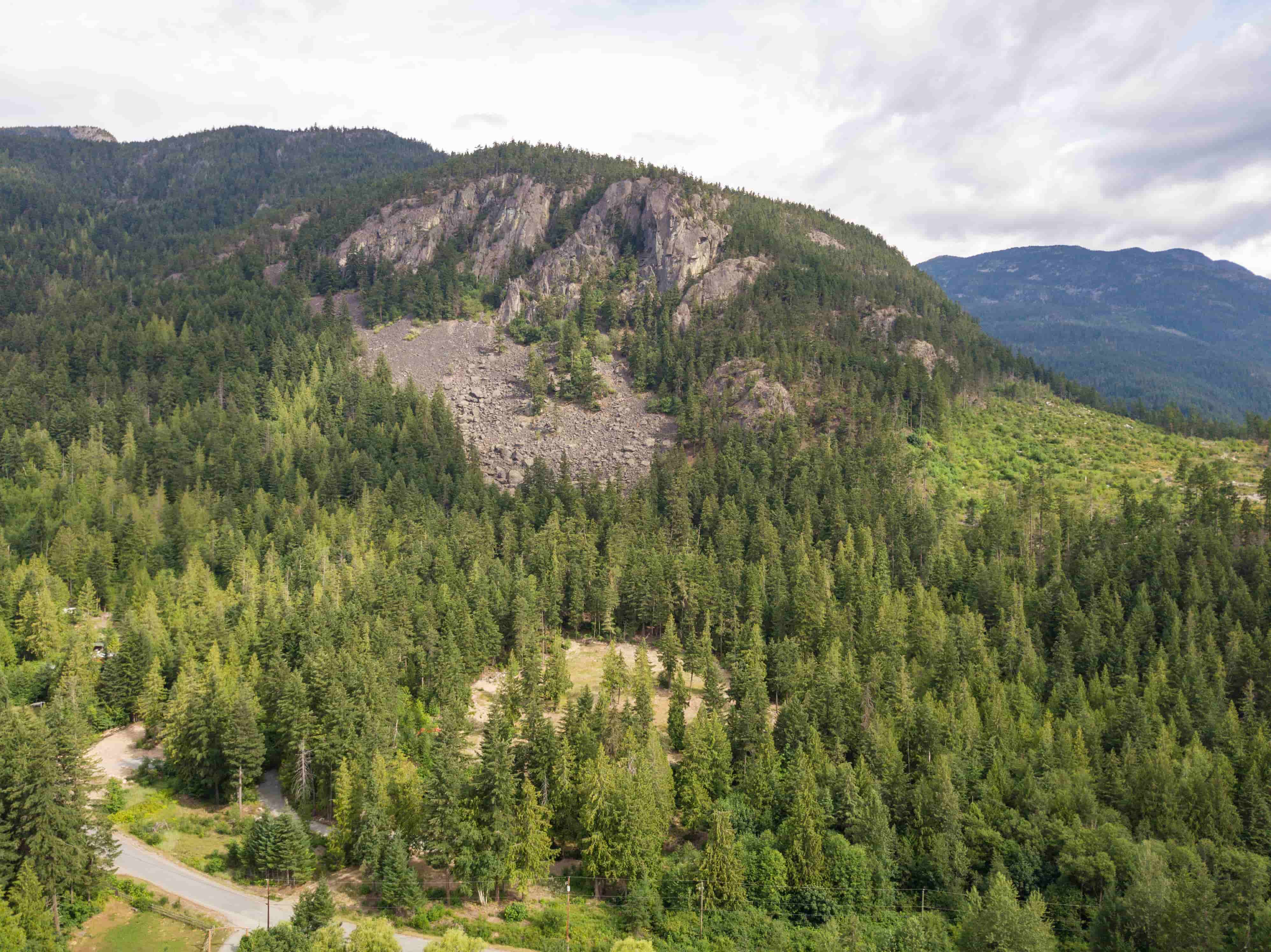 Green mountain with many trees