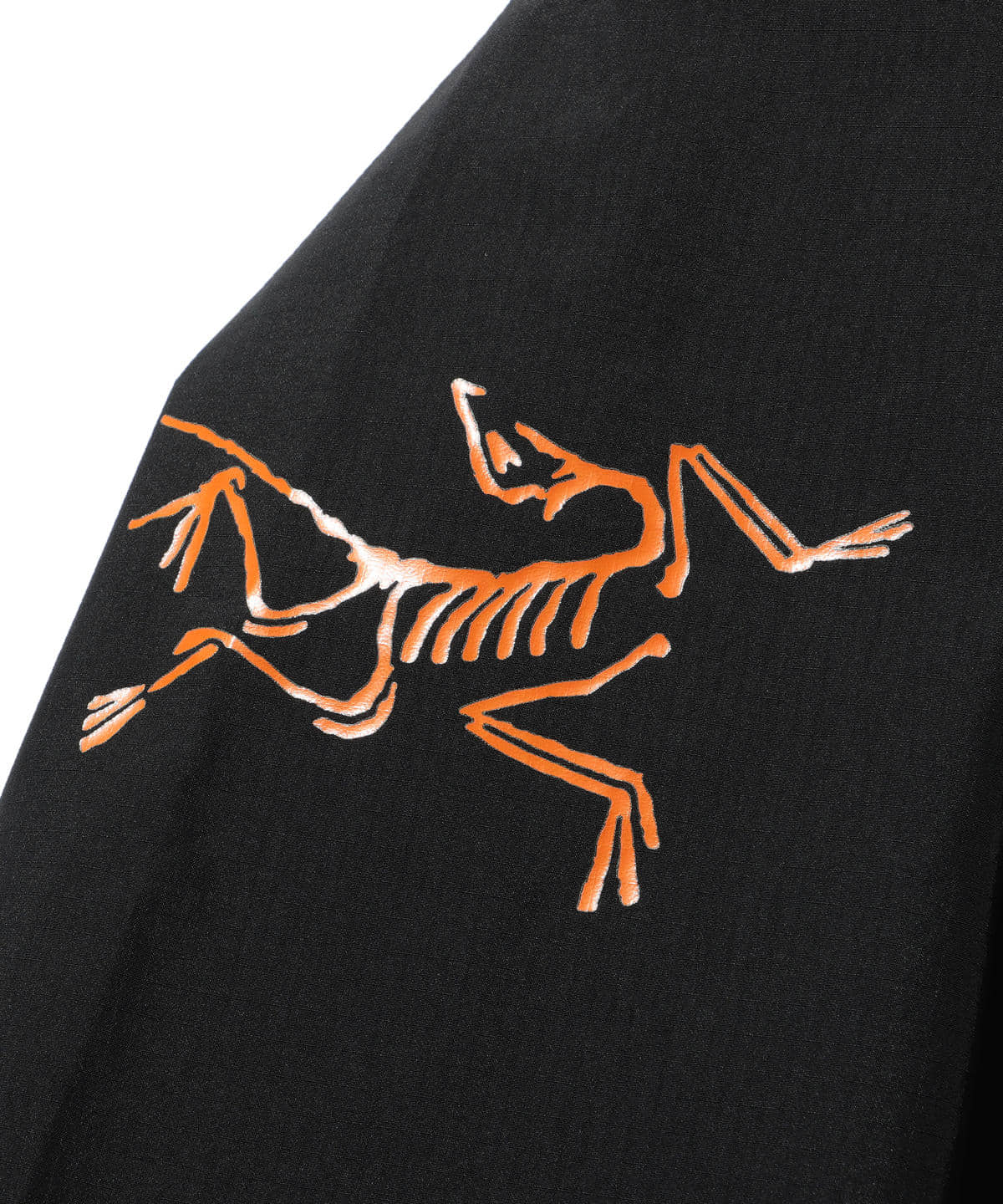 BEAMS x Arc'teryx Autumn/Winter '20 Capsule BEAMS x Arc'teryx Autumn/Winter '20 Capsule