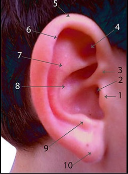 Pourquoi mon oreille devient rouge et chaude ?