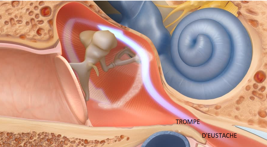 Pourquoi a-t-on une sensation d'oreille bouchée quand on est