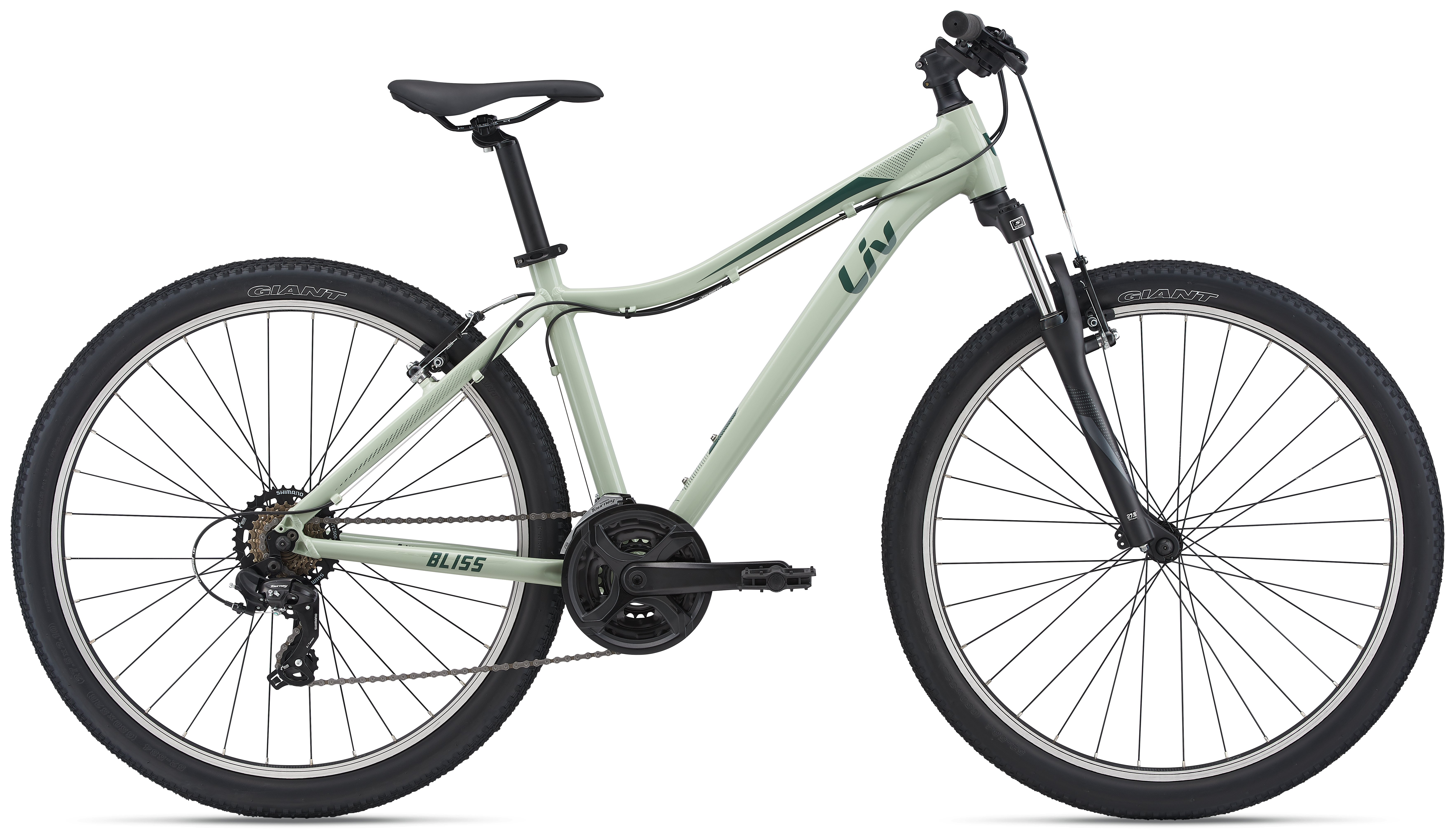 southern cross ladies mountain bike