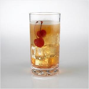 Wine Enthusiast Indoor/Outdoor Highball Glasses, Set of 4