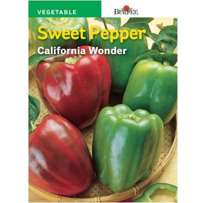 Wrotter | Gardening Supplies | Shop Burpee 99106