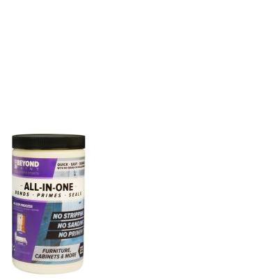 BEYOND PAINT Matte All-In-One Paint Exterior and Interior 32 g/L 1 qt